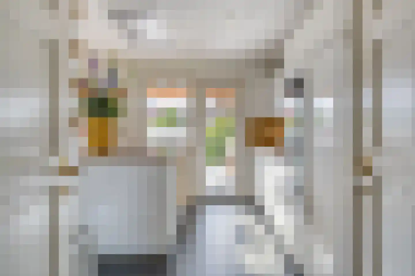 Veeweg 4 Schin op Geul thumbnail 9