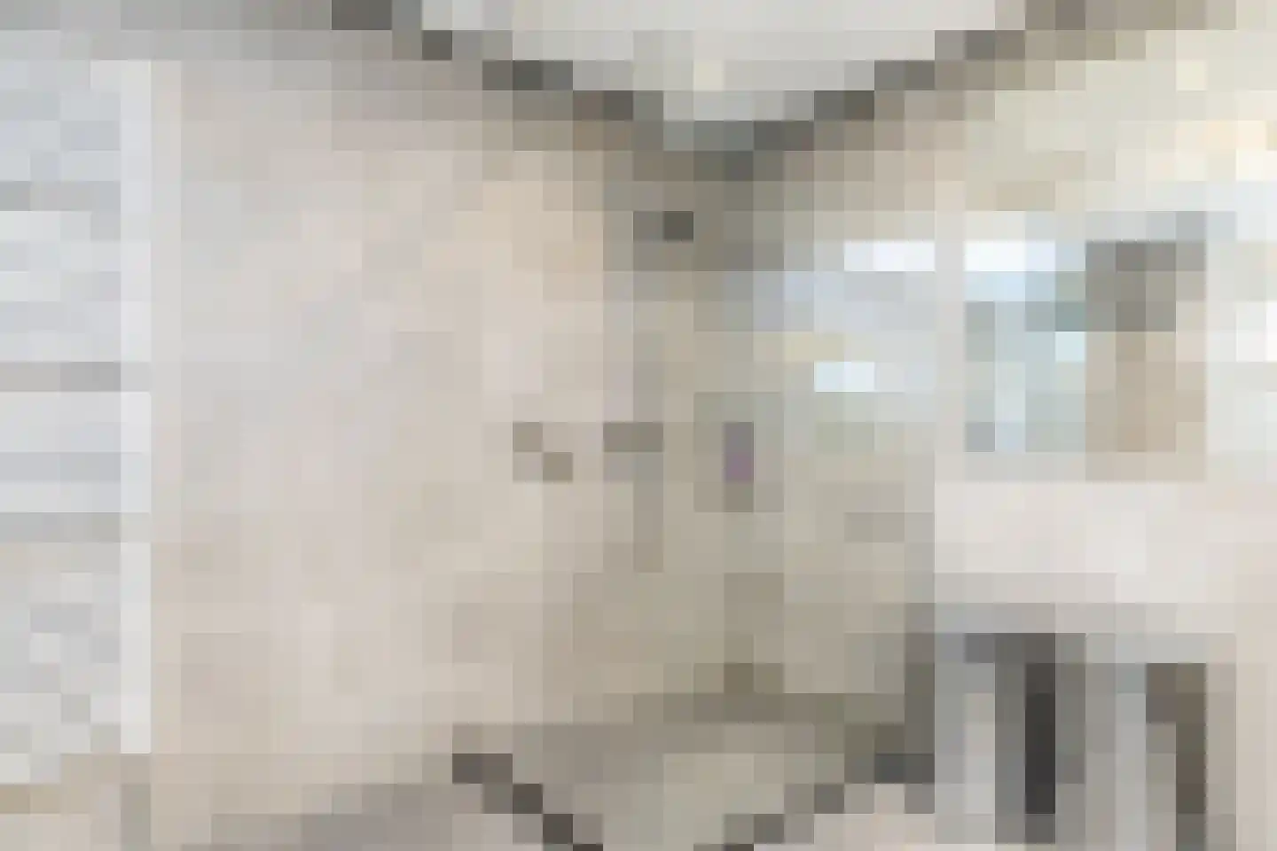Veeweg 82 Landgraaf thumbnail 17
