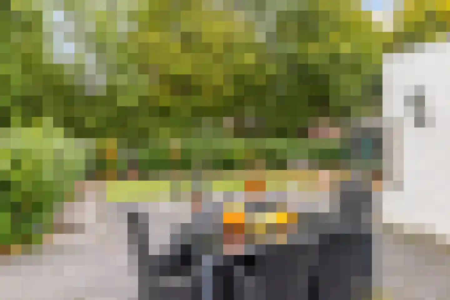 Veeweg 82 Landgraaf thumbnail 19