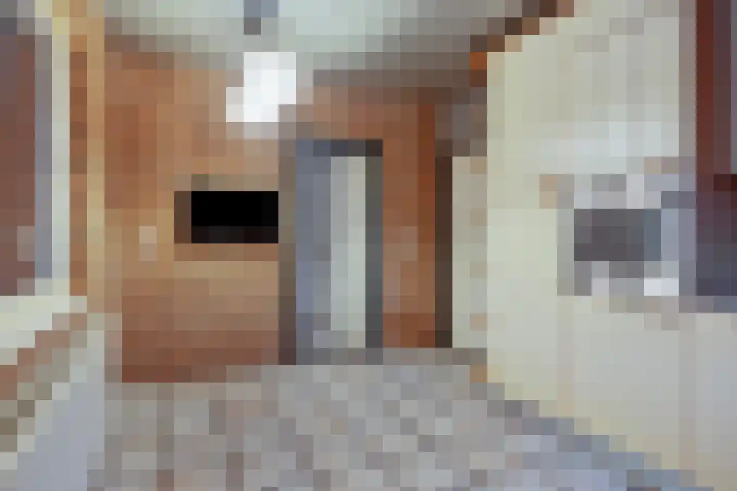 Veeweg 85 Landgraaf thumbnail 26