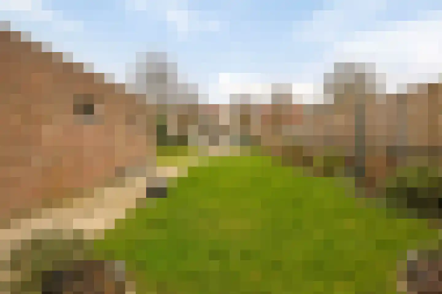 Veeweg 85 Landgraaf thumbnail 5