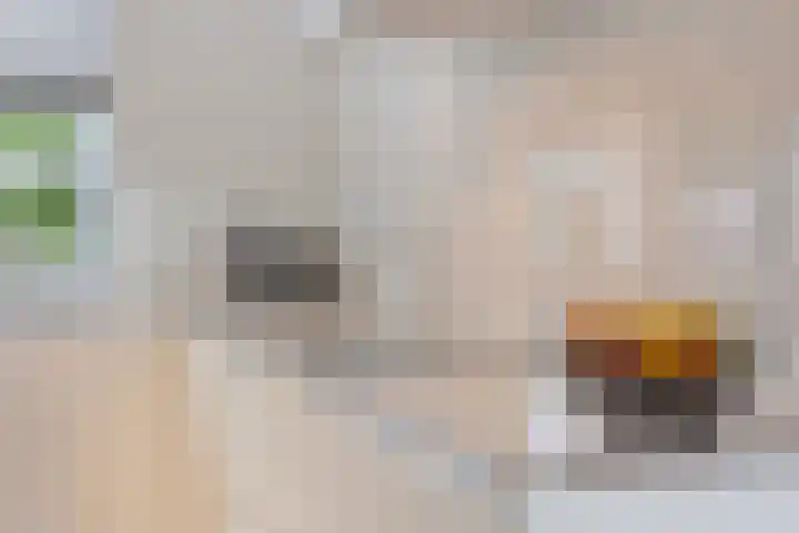 Veeweide 20 Herten thumbnail 11