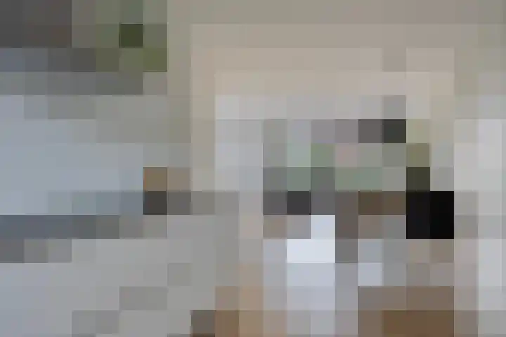 Veeweide 20 Herten thumbnail 12