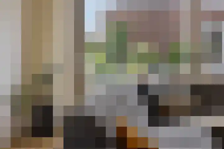 Veeweide 20 Herten thumbnail 14