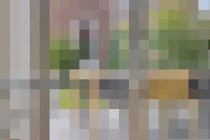 Veeweide 20 Herten thumbnail 15