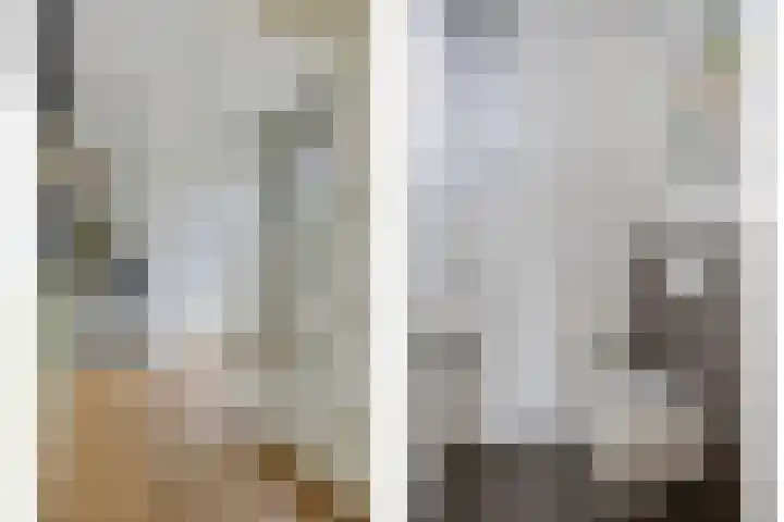 Veeweide 20 Herten thumbnail 16