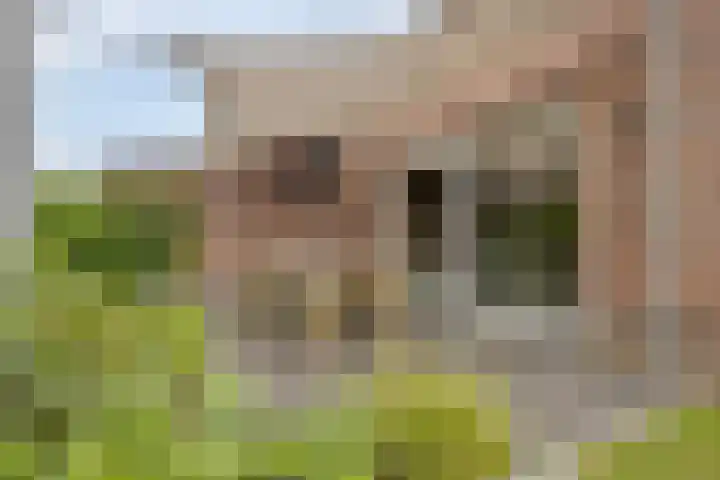 Veeweide 20 Herten thumbnail 25