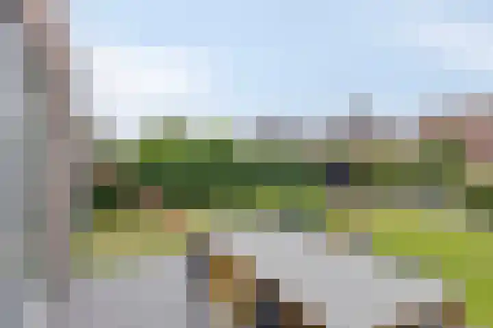 Veeweide 20 Herten thumbnail 27