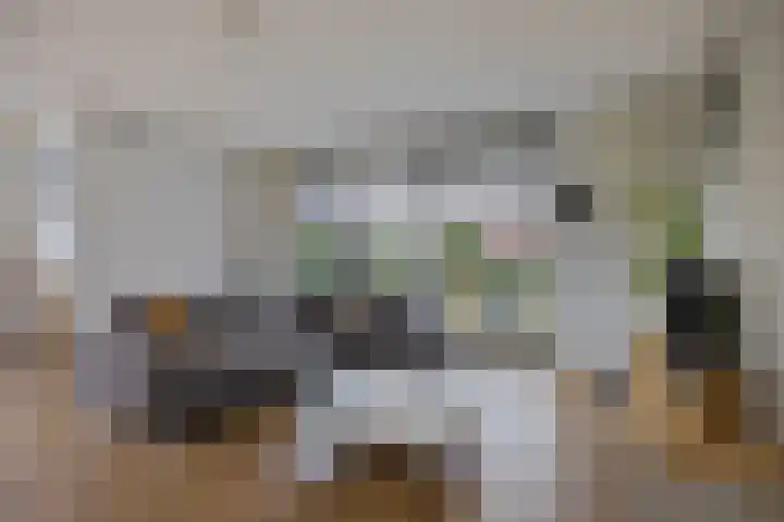Veeweide 20 Herten foto 3