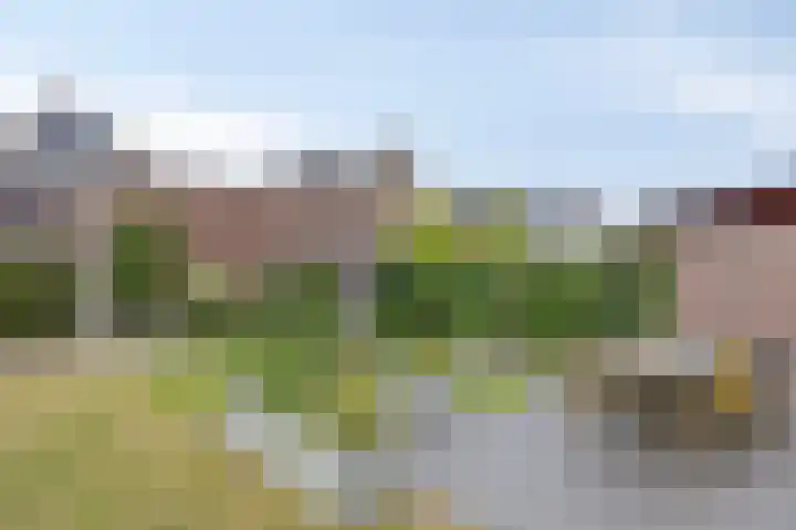 Veeweide 20 Herten thumbnail 32