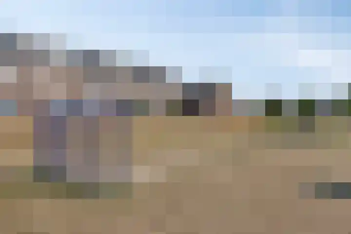 Veeweide 20 Herten thumbnail 35