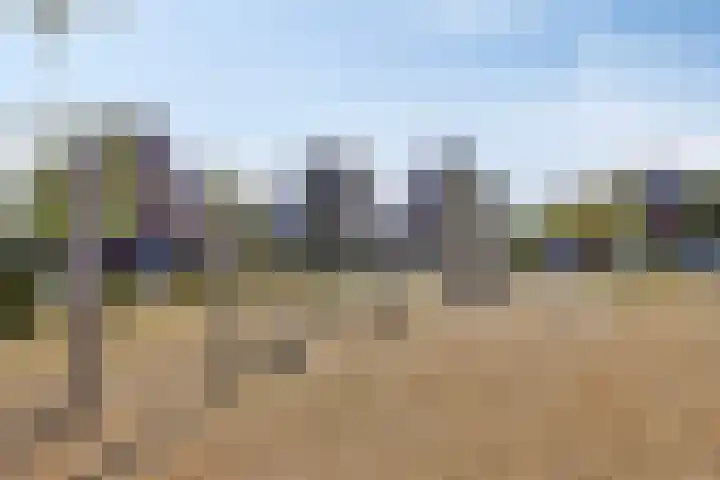 Veeweide 20 Herten thumbnail 36