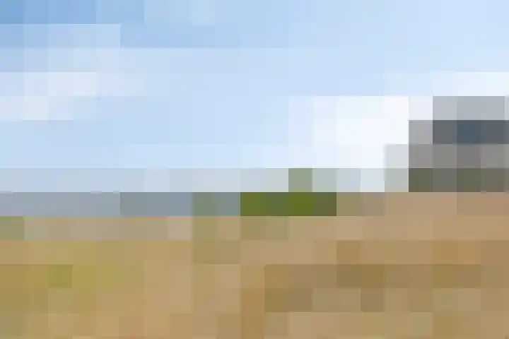 Veeweide 20 Herten thumbnail 37