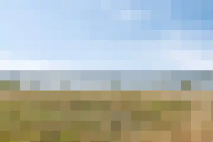 Veeweide 20 Herten thumbnail 38