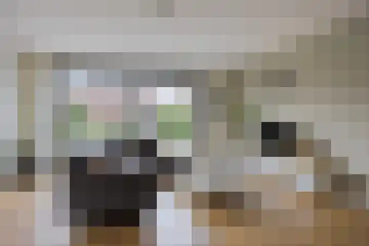 Veeweide 20 Herten thumbnail 4