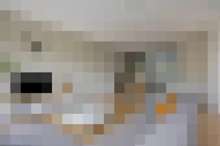 Veeweide 20 Herten thumbnail 6