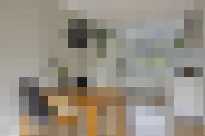 Veeweide 20 Herten thumbnail 7