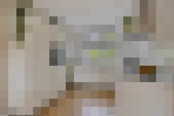 Veeweide 20 Herten thumbnail 8