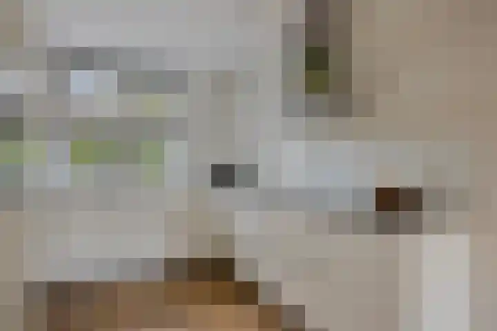 Veeweide 20 Herten thumbnail 9
