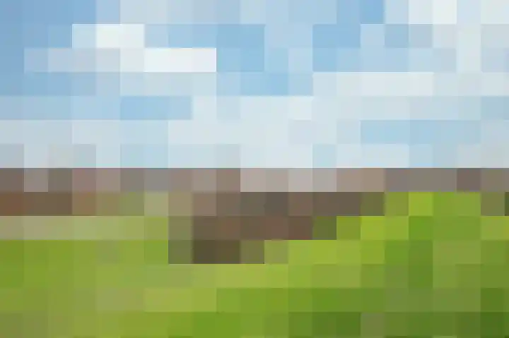 Veeweide 29 Herten thumbnail 26