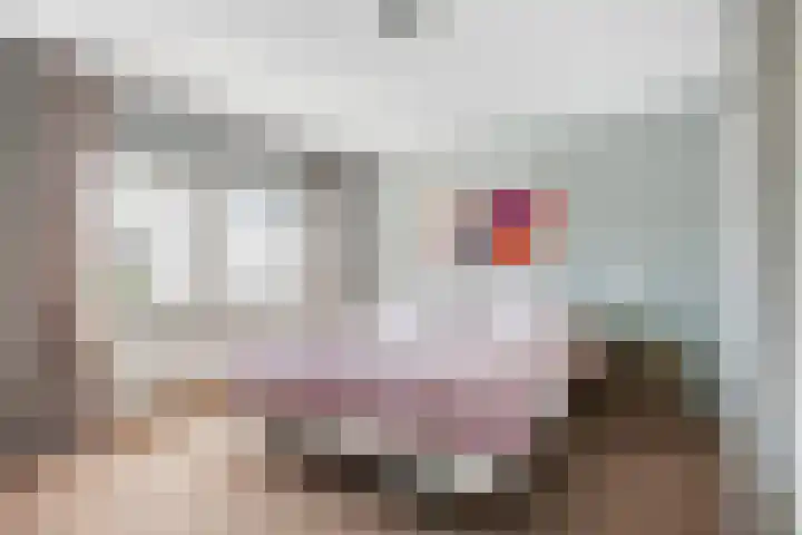 Vegakade 2 Woerden thumbnail 16