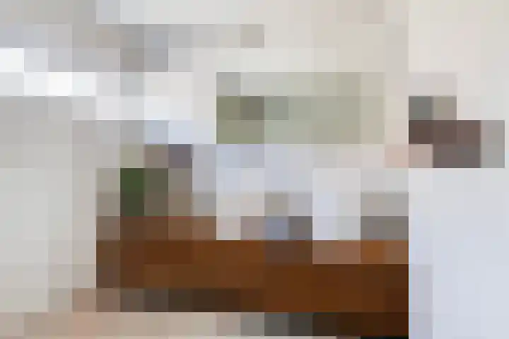 Vegakade 2 Woerden thumbnail 22