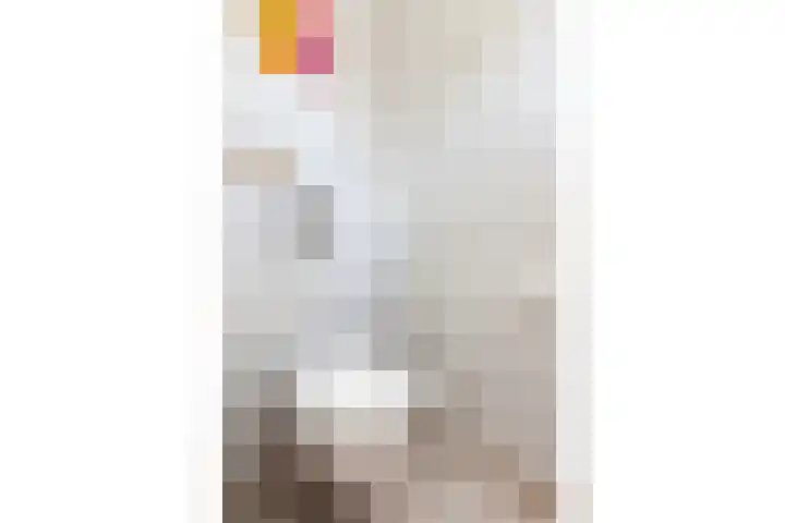 Vegakade 2 Woerden thumbnail 24