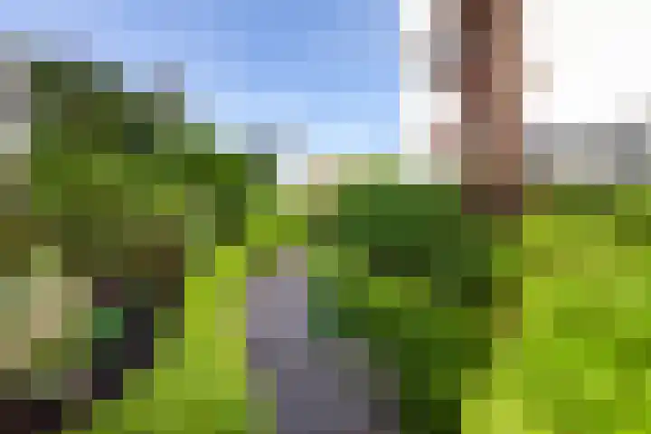 Vegakade 2 Woerden thumbnail 35