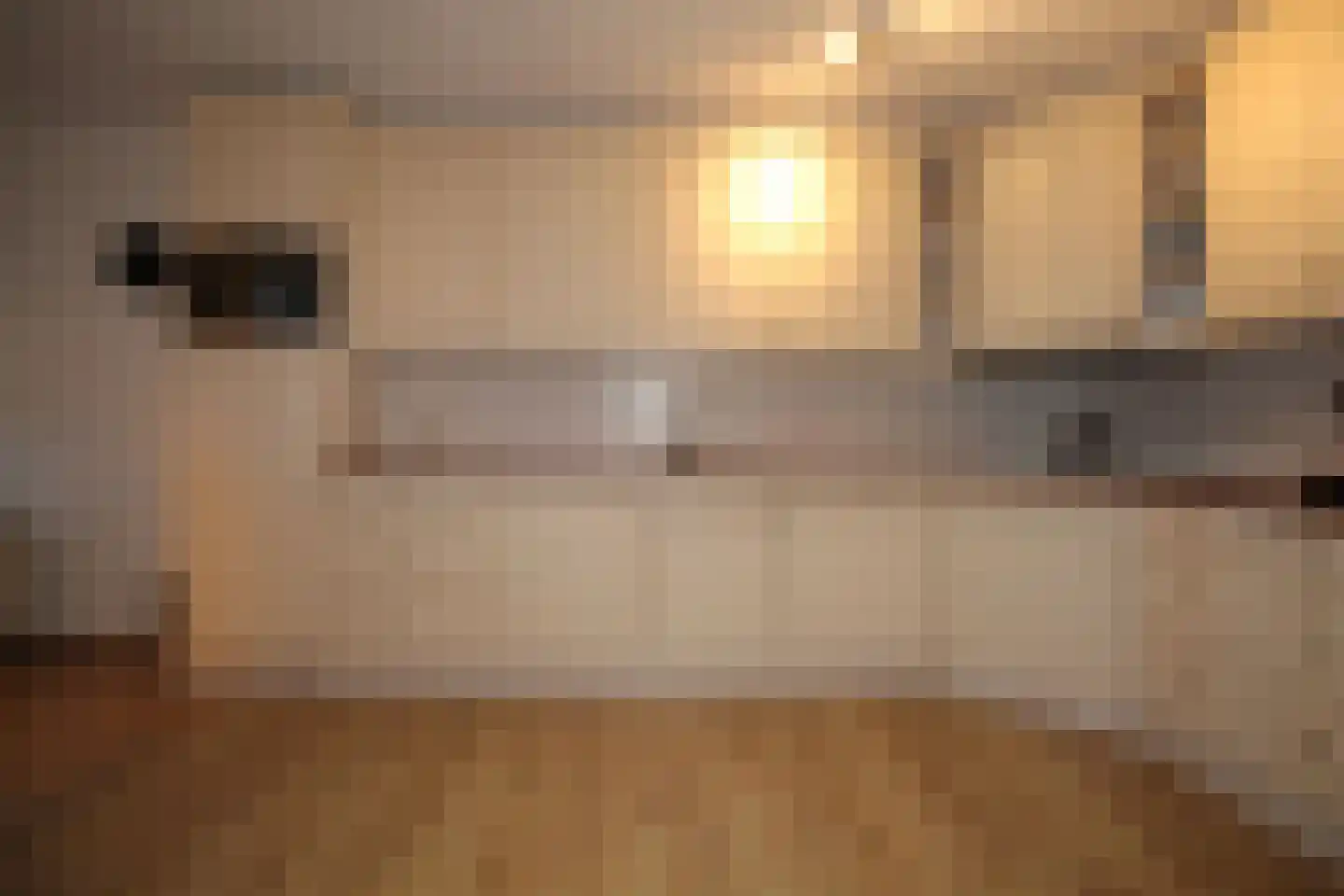 Vegastraat 105 Rotterdam thumbnail 12
