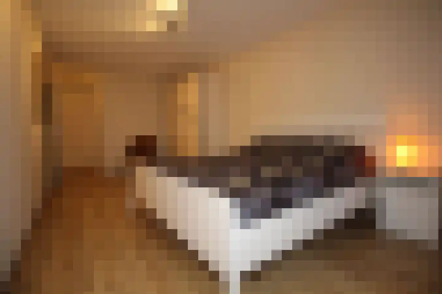 Vegastraat 105 Rotterdam thumbnail 18