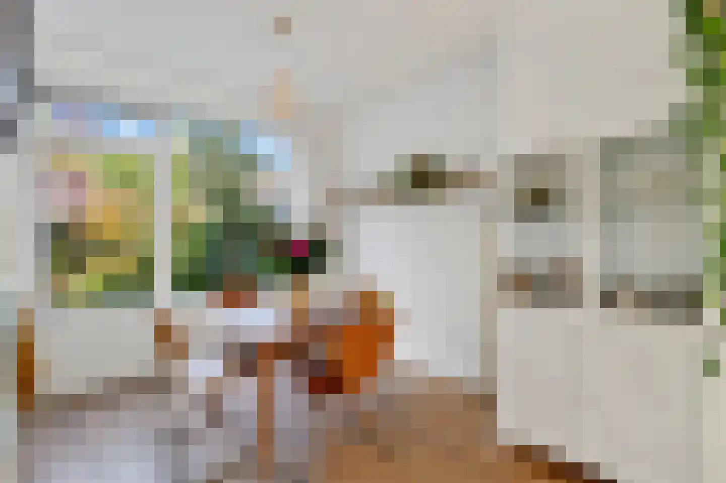 Vegastraat 30 Amsterdam thumbnail 14