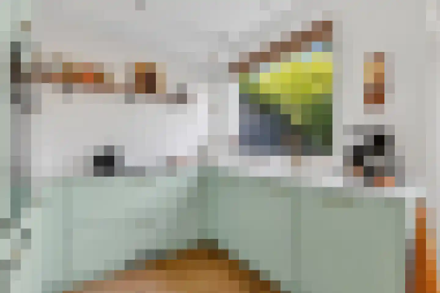 Vegastraat 30 Amsterdam thumbnail 18