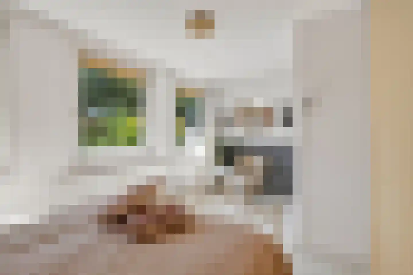 Vegastraat 30 Amsterdam thumbnail 31