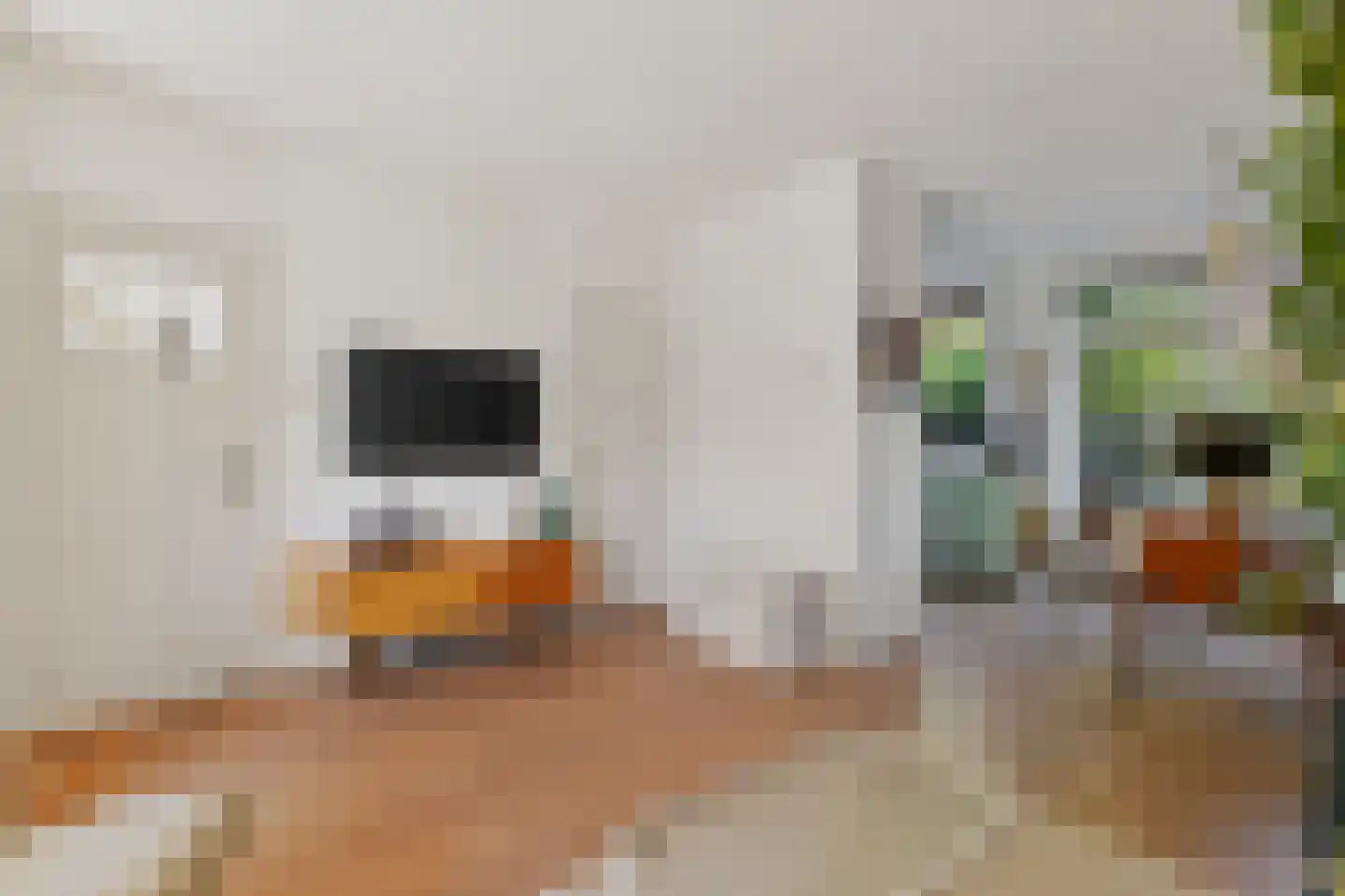 Vegastraat 30 Amsterdam thumbnail 6