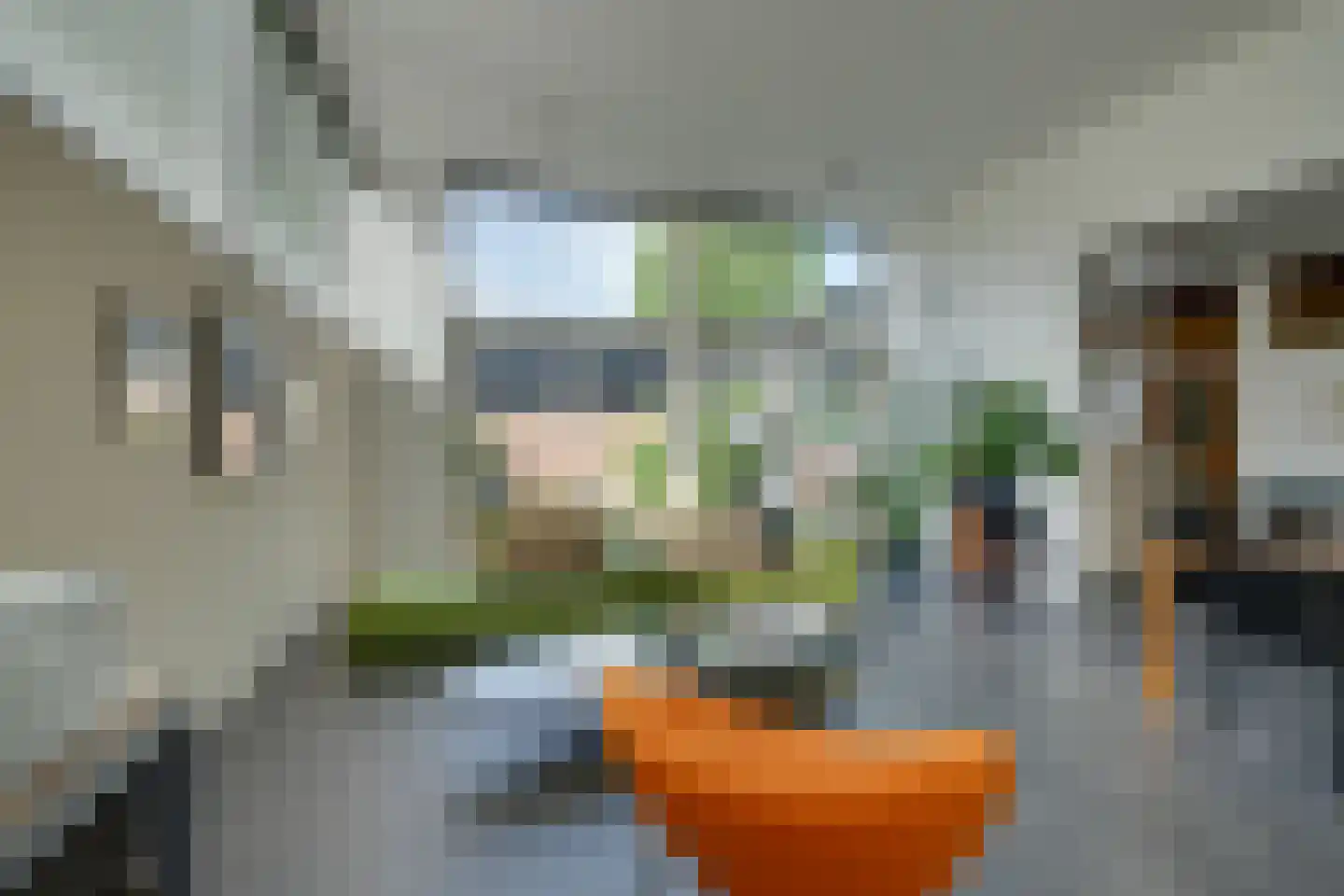 Vegastraat 63 Amsterdam thumbnail 19