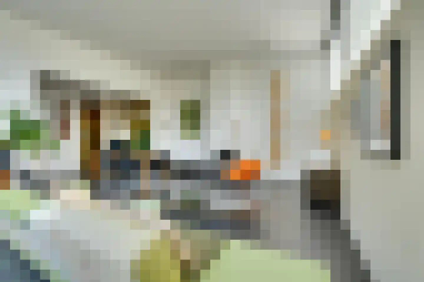 Vegastraat 63 Amsterdam thumbnail 20