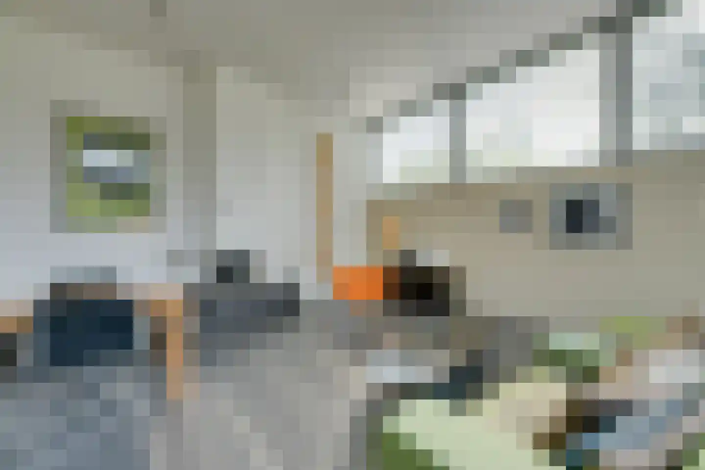 Vegastraat 63 Amsterdam thumbnail 21