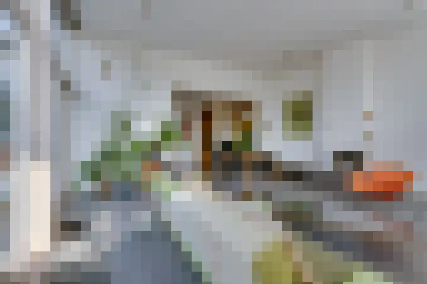 Vegastraat 63 Amsterdam thumbnail 22