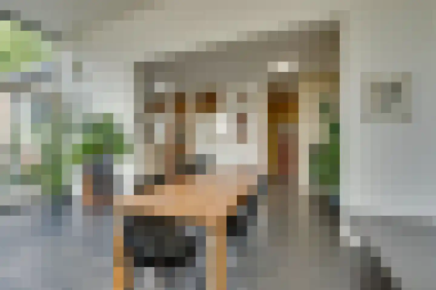 Vegastraat 63 Amsterdam thumbnail 25