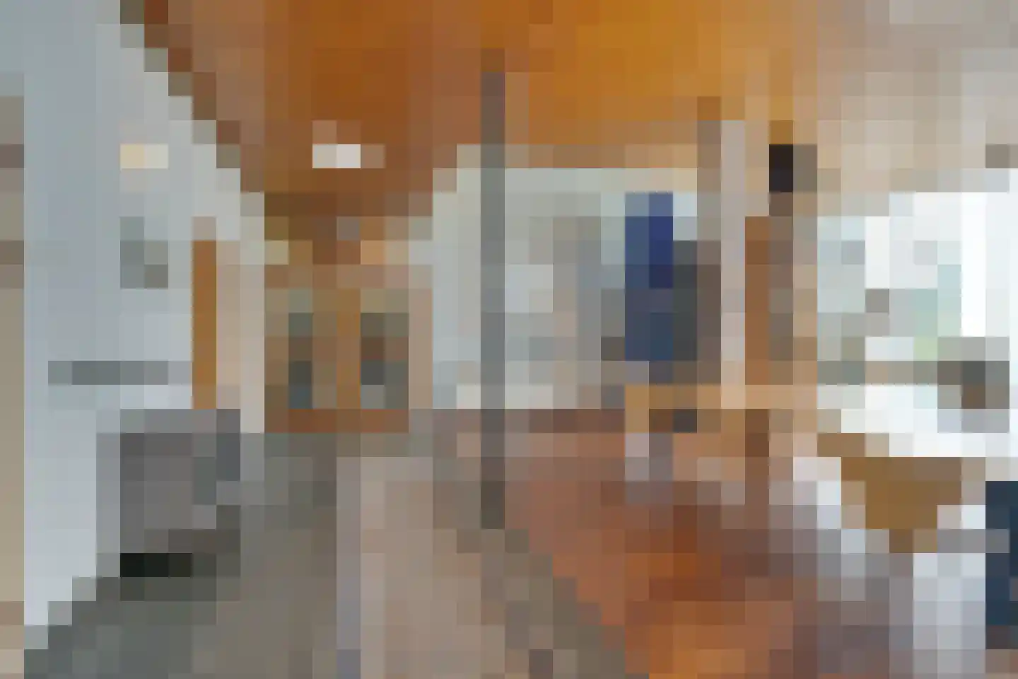Vegastraat 63 Amsterdam thumbnail 72
