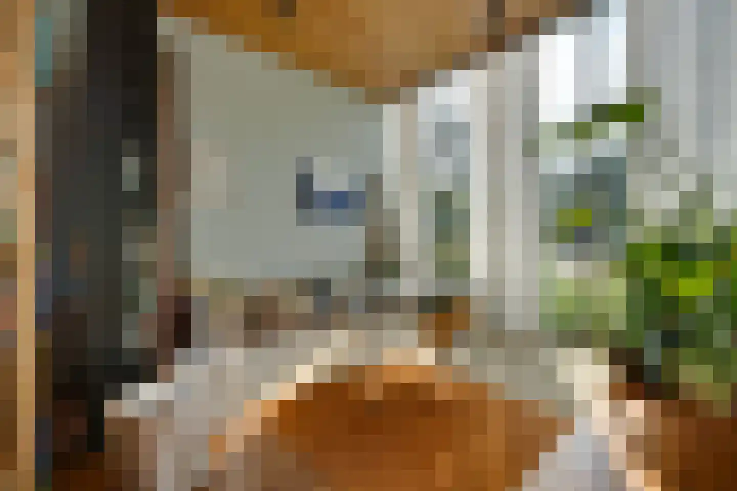 Vegastraat 63 Amsterdam thumbnail 76