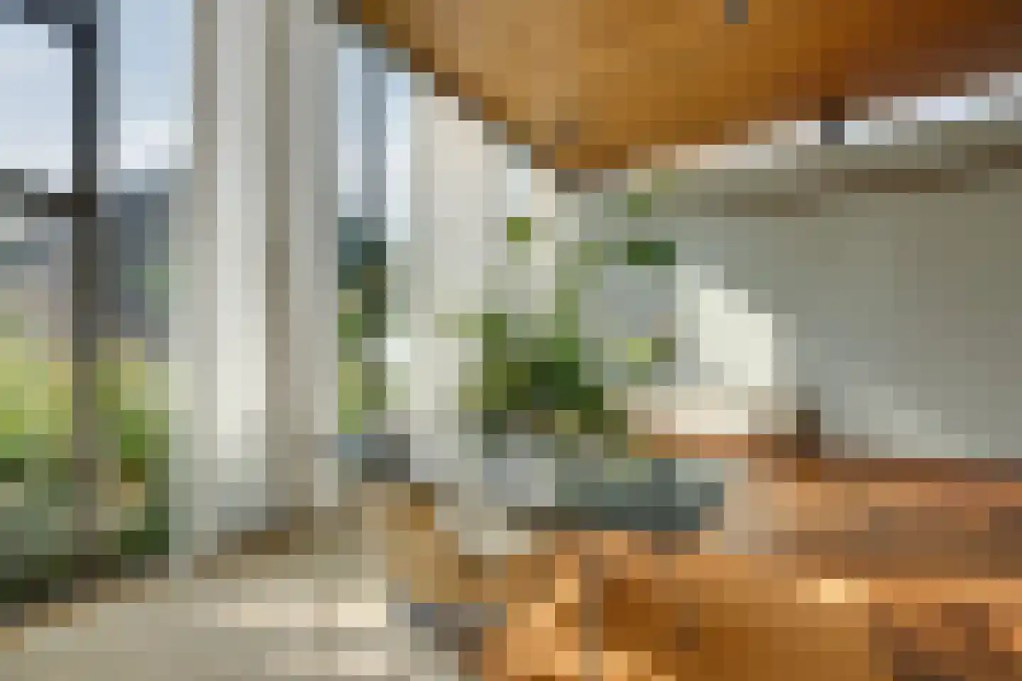 Vegastraat 63 Amsterdam thumbnail 77