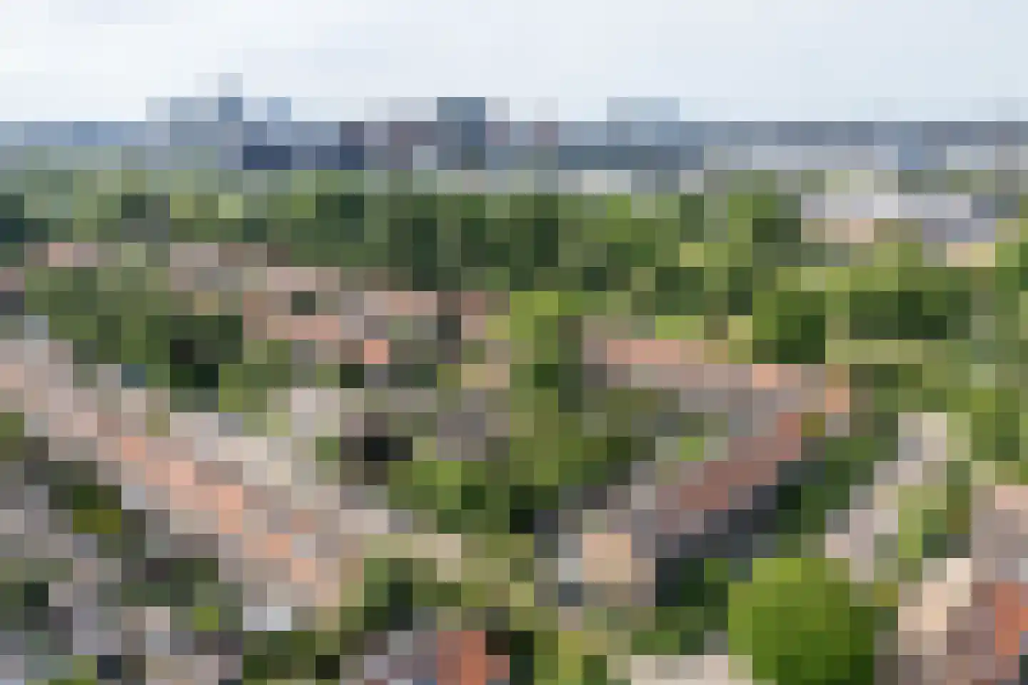Vegastraat 63 Amsterdam thumbnail 8