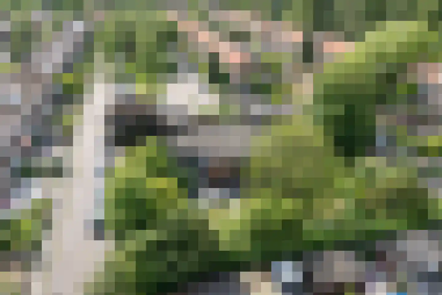 Vegastraat 63 Amsterdam thumbnail 9
