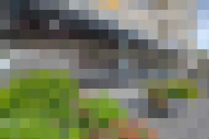 Vegastraat 95 Rotterdam thumbnail 9