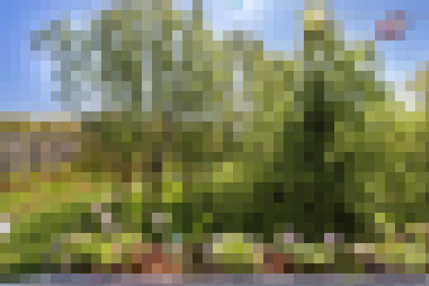 Vegelinsoord 108 Rotterdam thumbnail 17