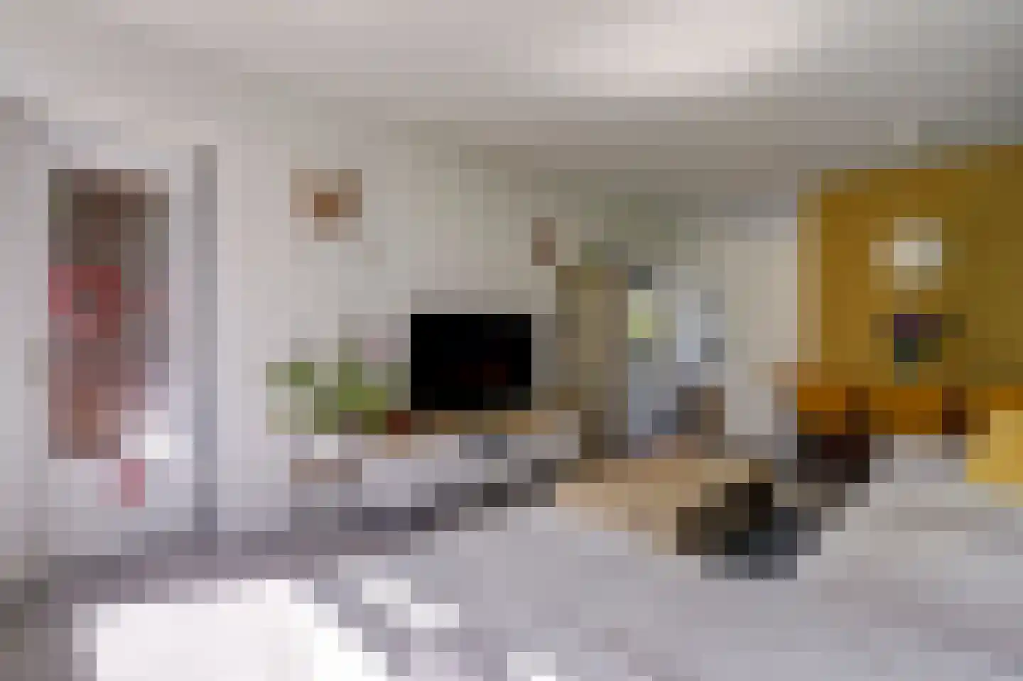 Vegelinsoord 108 Rotterdam thumbnail 8