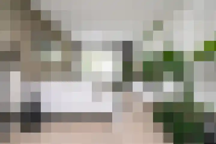 Vegelinsoord 116 Rotterdam thumbnail 10