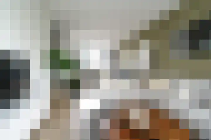 Vegelinsoord 116 Rotterdam thumbnail 11