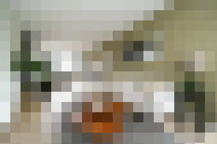Vegelinsoord 116 Rotterdam thumbnail 12